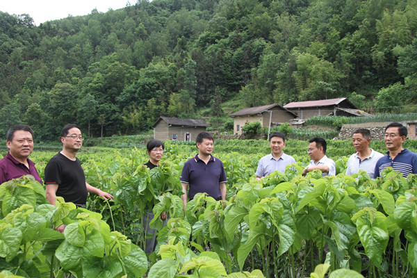 安康市商務(wù)局領(lǐng)導(dǎo)來我公司調(diào)研春蠶收購(gòu)及扶貧點(diǎn)蠶?；亟ㄔO(shè)情況